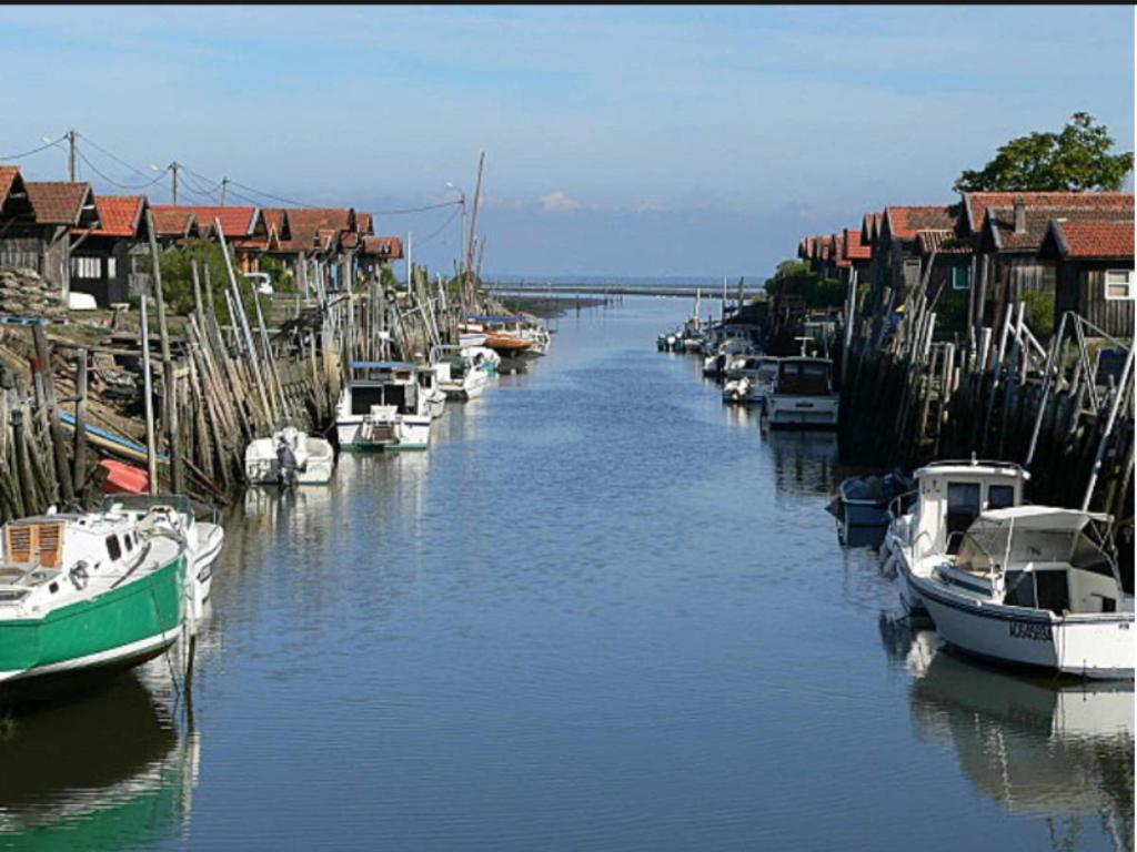Hotel Particulier - Les Lodges Du Bassin D'Arcachon- Petit-Dejeuner Sur Demande- Prestations Haut De Gamme Gujan-Mestras Eksteriør bilde