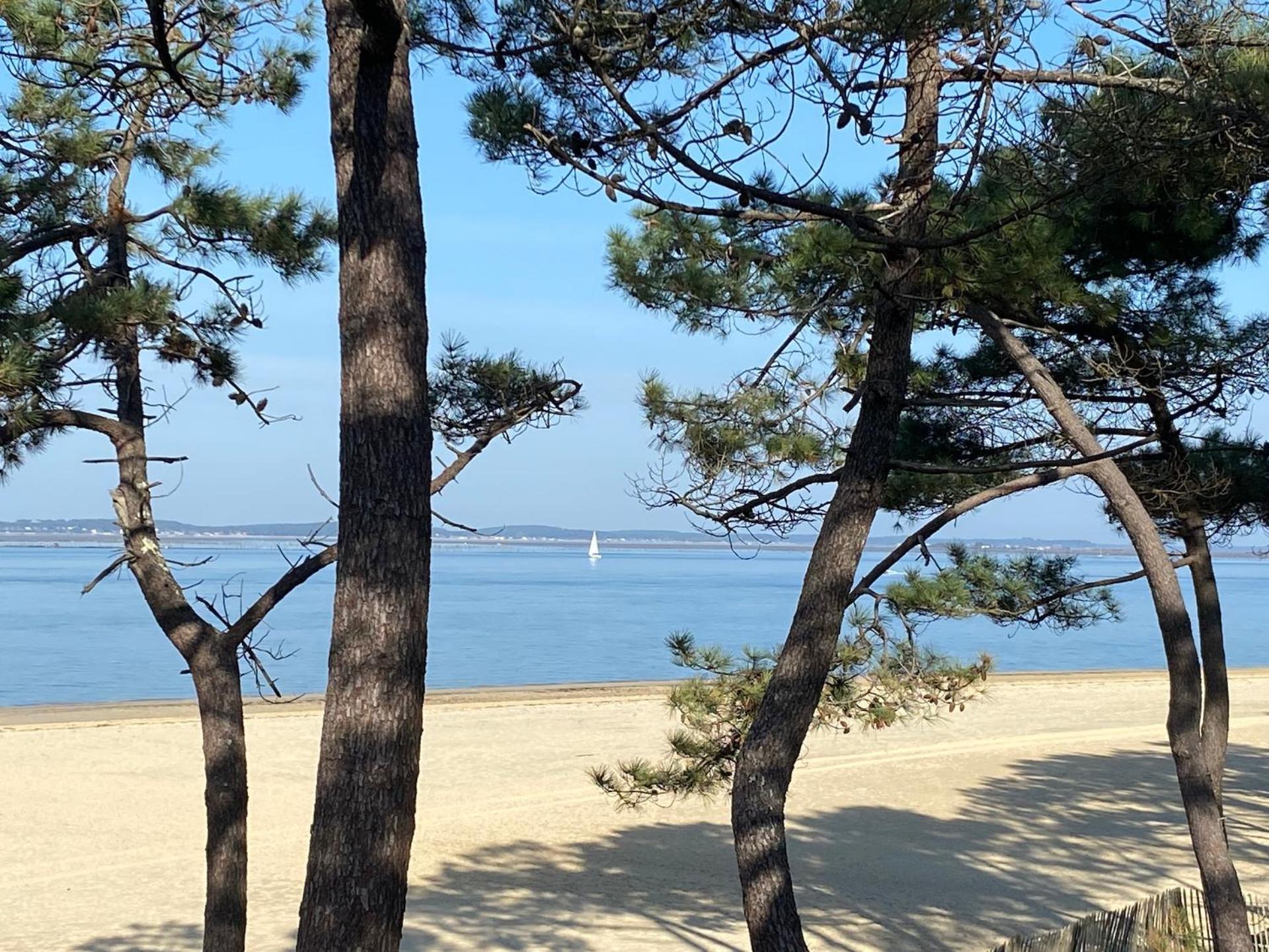 Hotel Particulier - Les Lodges Du Bassin D'Arcachon- Petit-Dejeuner Sur Demande- Prestations Haut De Gamme Gujan-Mestras Eksteriør bilde