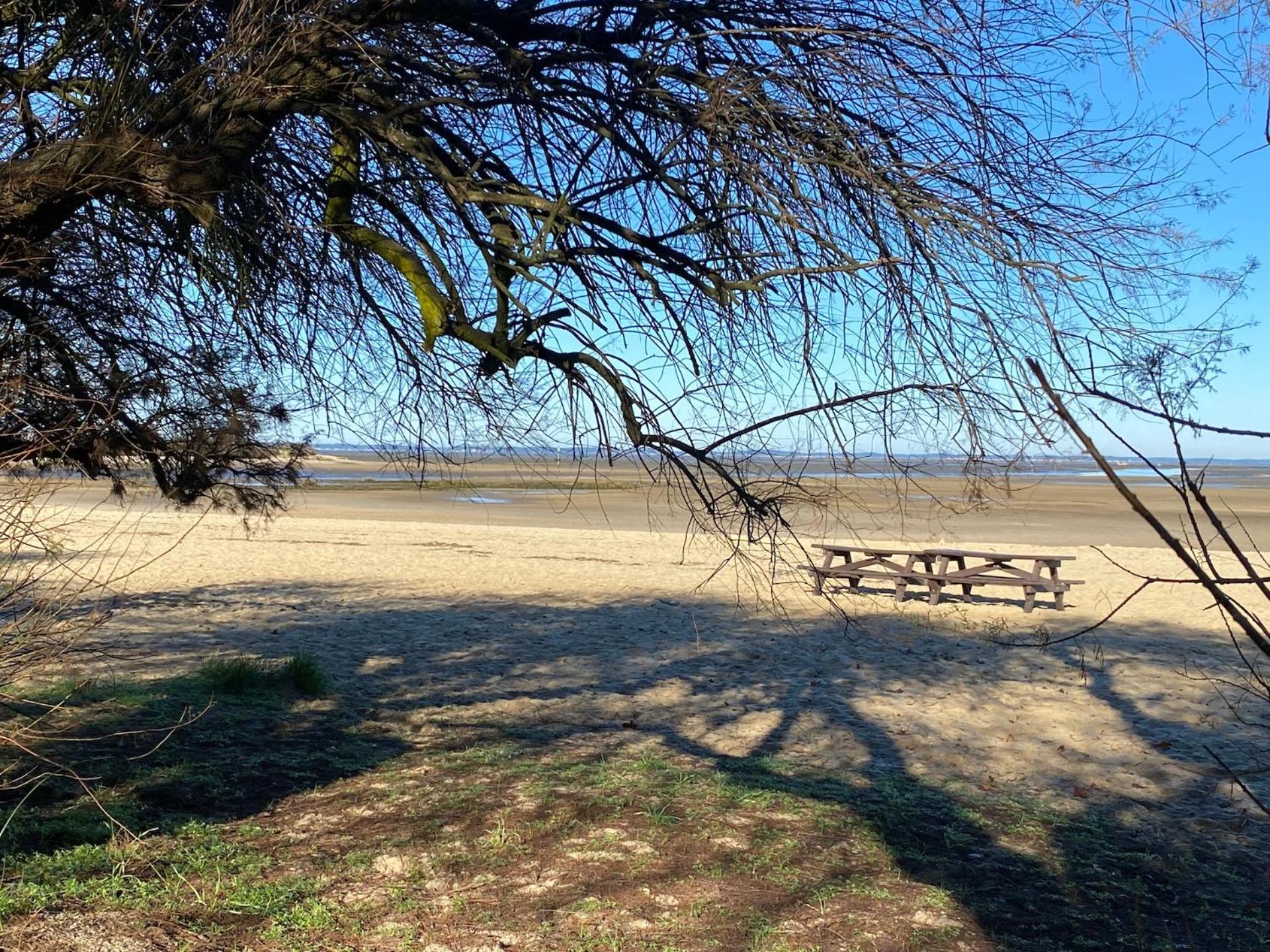 Hotel Particulier - Les Lodges Du Bassin D'Arcachon- Petit-Dejeuner Sur Demande- Prestations Haut De Gamme Gujan-Mestras Eksteriør bilde