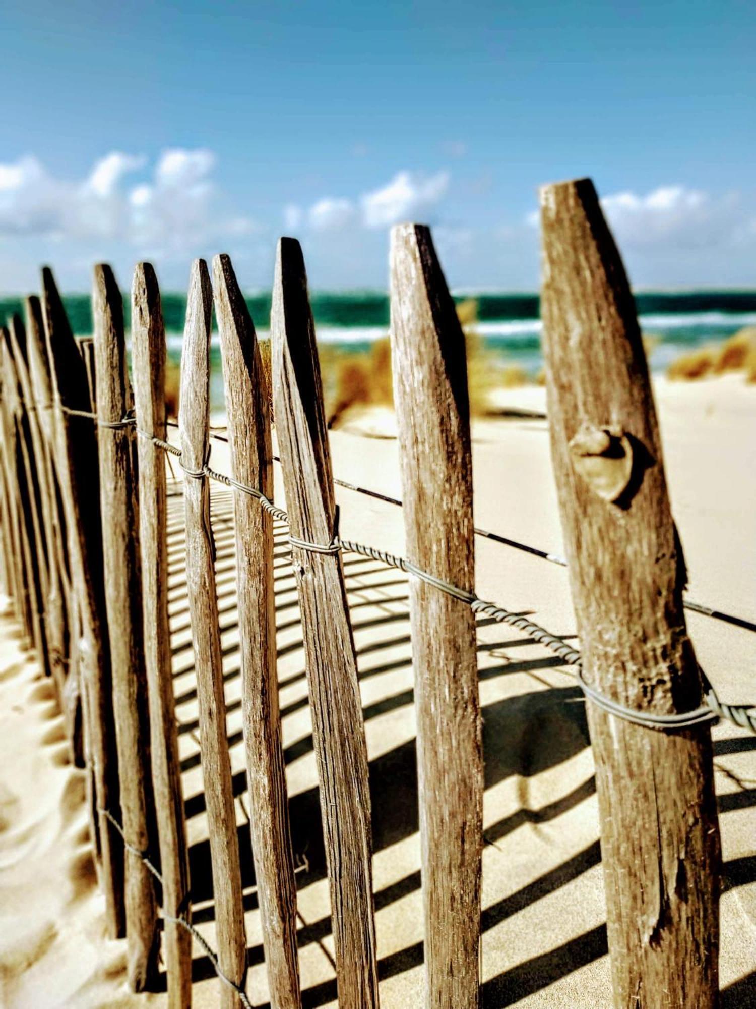 Hotel Particulier - Les Lodges Du Bassin D'Arcachon- Petit-Dejeuner Sur Demande- Prestations Haut De Gamme Gujan-Mestras Eksteriør bilde